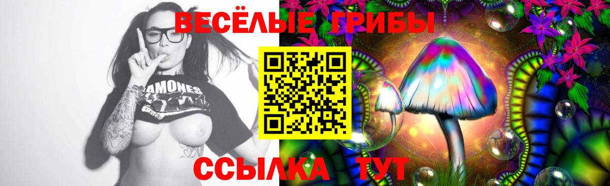Псилоцибиновые грибы мицелий Балашиха